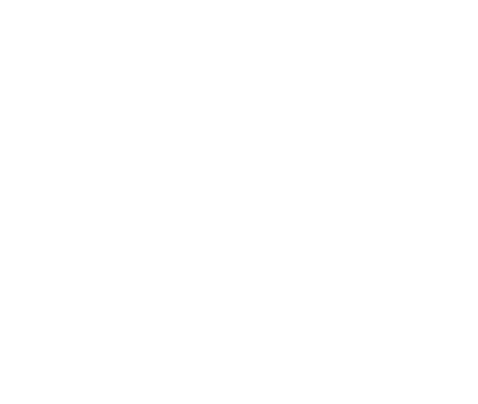 logo piensatic plus